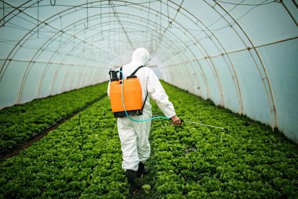 Best Affordable Pest Control Services  in Samson, AL