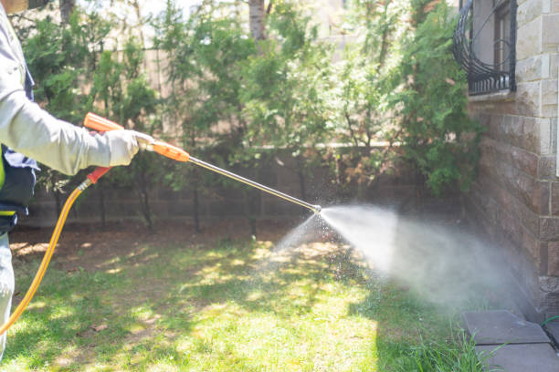 Best Local Pest Control Services  in Samson, AL