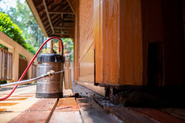 Best Termite Control Services  in Samson, AL