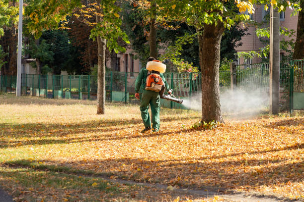 Best Residential Pest Control  in Samson, AL