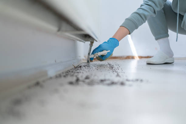 Best Pest Prevention Services  in Samson, AL